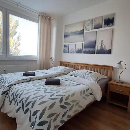 Spacious In The Park