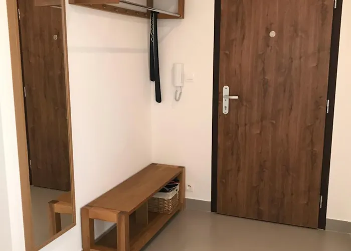 Spacious In The Park