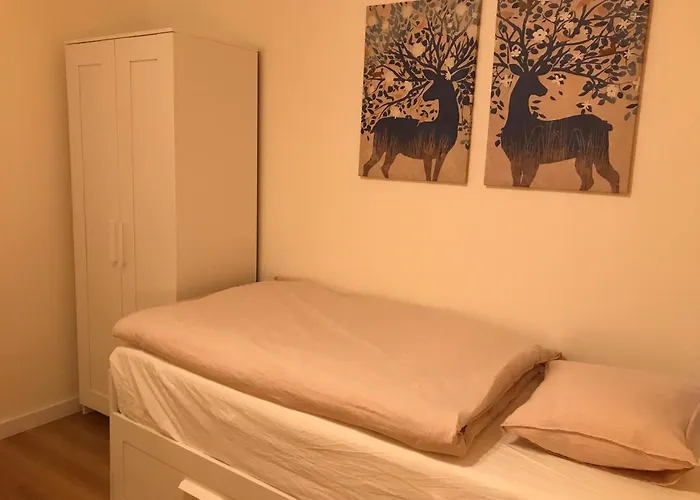 Spacious In The Park كَشّا