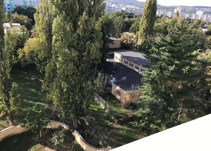 Spacious In The Park كَشّا